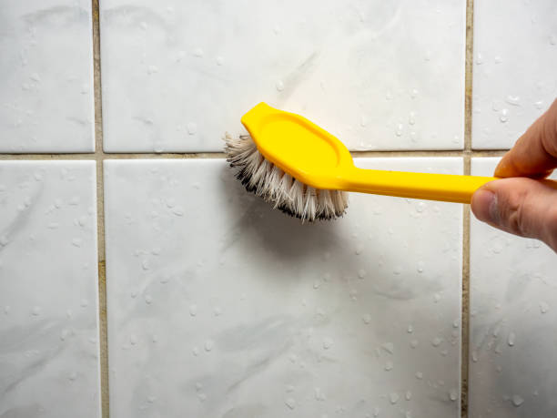 Best Basement Mold Remediation in Tunica, MS