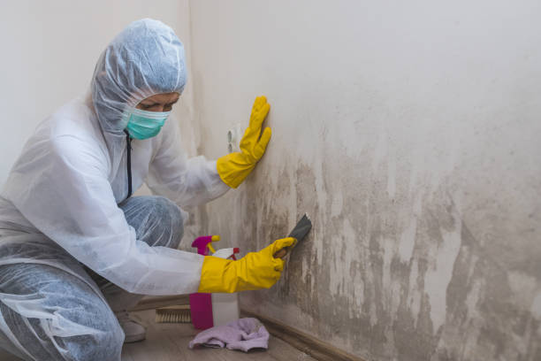 Tunica, MS Mold Remediation Company